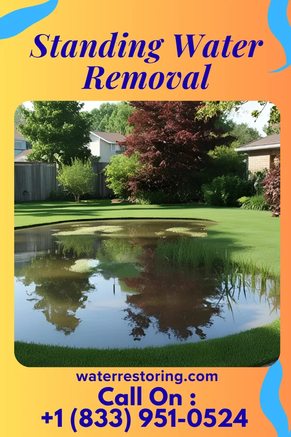 Standing Water Removal in Mason City, IL